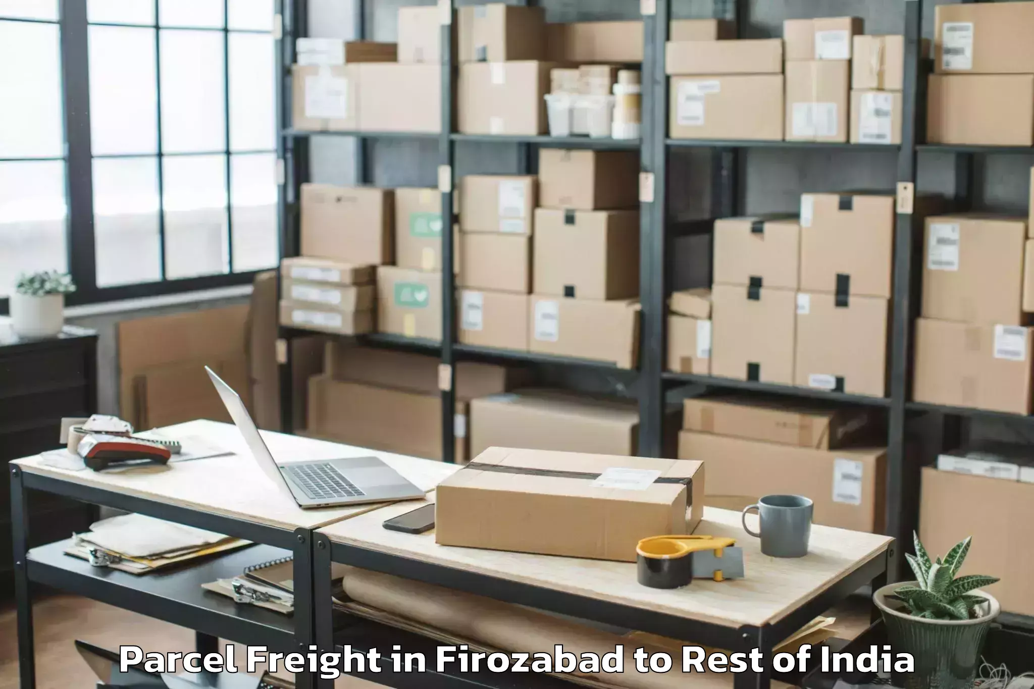 Book Firozabad to University Of Jammu Parcel Freight